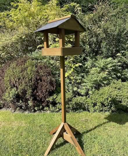 Photo of Wild bird feeding station (Eye,) #1