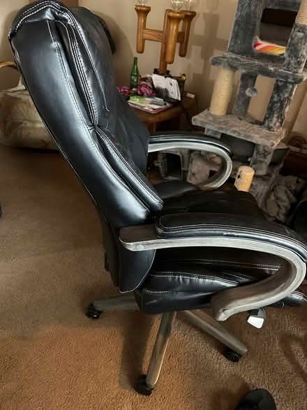 Photo of free Office chair (Palm Harbor) #1