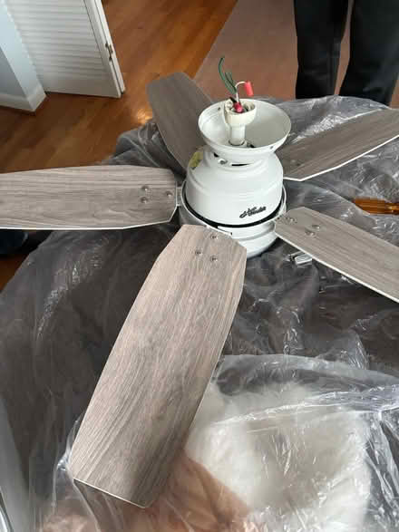 Photo of free white ceiling fan (Larchmont, Norfolk) #3