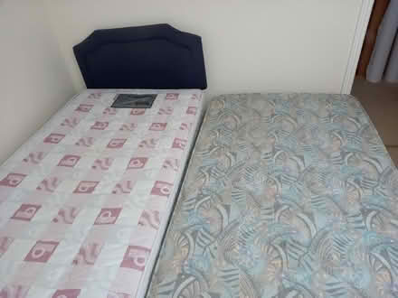 Photo of free Single bed complete with a tuckaway (Torquay) #3