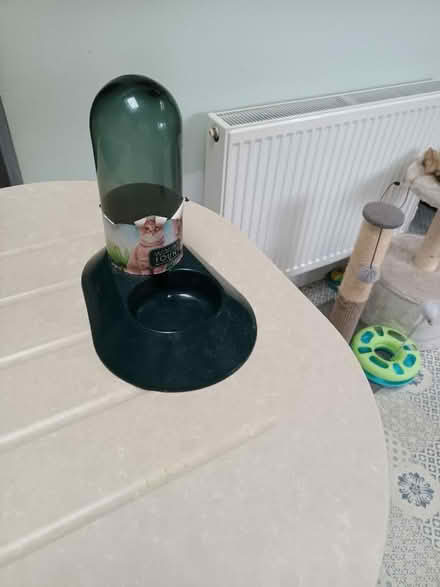 Photo of free Cat Water Fountain (City of Bristol BS16) #1