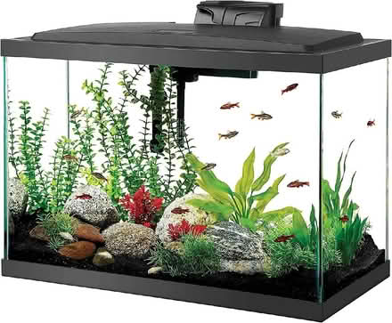 Photo of Fish tank (Highams Park E4) #1