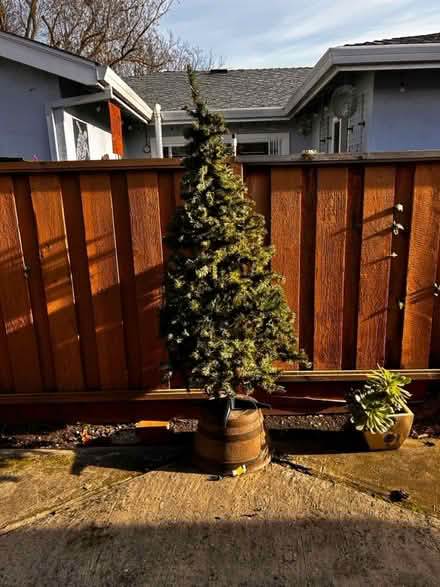 Photo of free Christmas tree (Fremont) #1