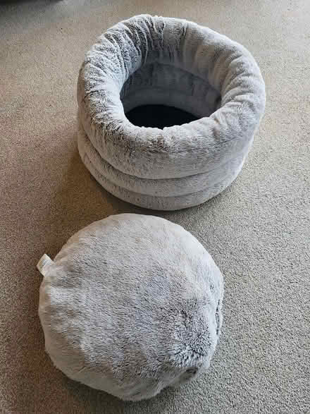 Photo of free Cat or small dog bed (Brixham) #2