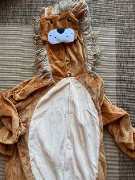 Photo of free Lion costume - small adult (Freehold LA1) #1