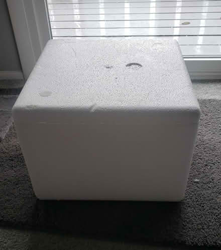 Photo of free Styrofoam cooler (Near Meacham & Schaumburg rds) #2