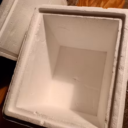 Photo of free Styrofoam Cooler (Ridgefield Park) #2