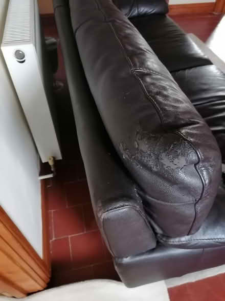 Photo of free Large leather sofa & large single (Holsworthy) #2