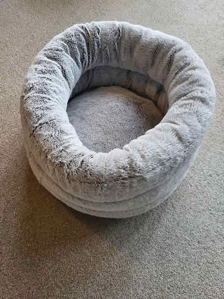 Photo of free Cat or small dog bed (Brixham) #1