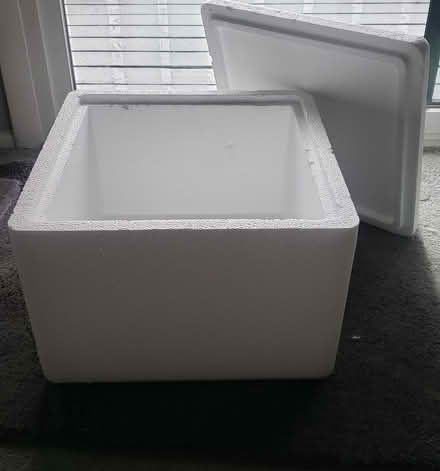 Photo of free Styrofoam cooler (Near Meacham & Schaumburg rds) #1