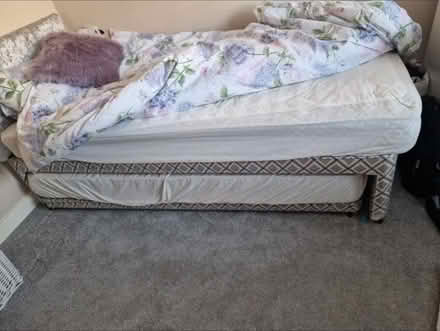 Photo of free Single pull out bed (WF3 Stanley Wakefield) #2