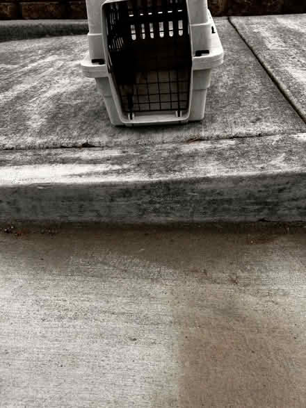 Photo of free pet carrier (Fremont) #4