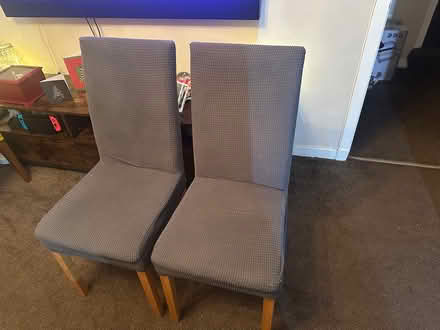 Photo of free Dining chairs (Shawlands) #2