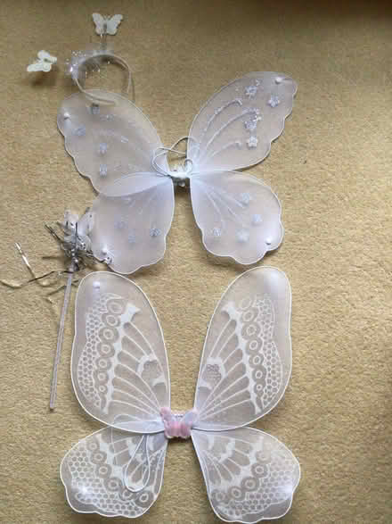 Photo of free Two Sets of Angel Wings (Aldwick PO21) #1