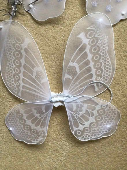 Photo of free Two Sets of Angel Wings (Aldwick PO21) #2