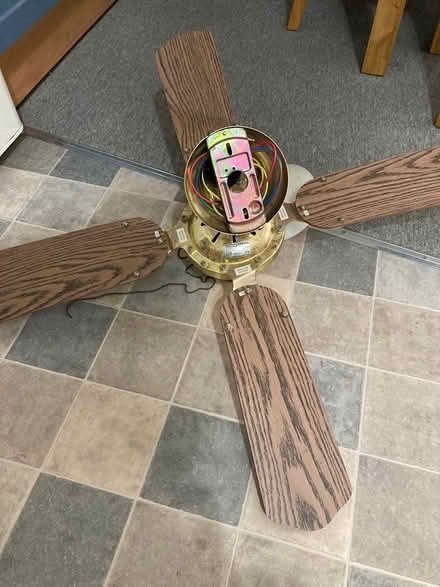 Photo of free Ceiling Fan/Light (Chapel-en-le-Frith SK23) #1