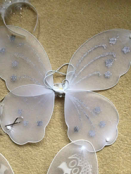 Photo of free Two Sets of Angel Wings (Aldwick PO21) #3