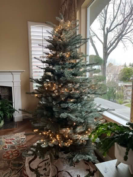 Photo of free Frontgate Christmas tree (Concord) #2