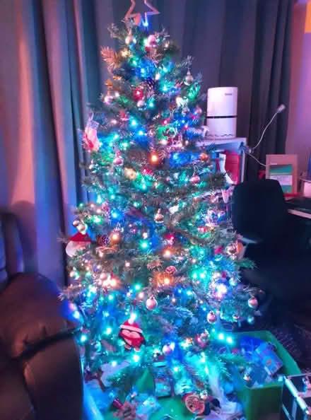 Photo of free Christmas tree (Oxgangs EH13) #1