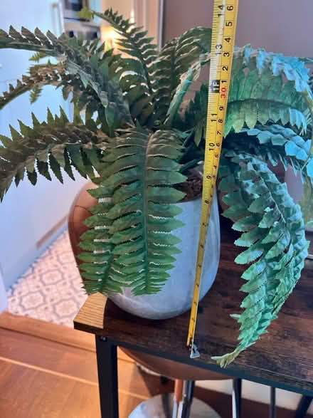 Photo of free Fern plant (fake) (West Bridgford NG2) #2