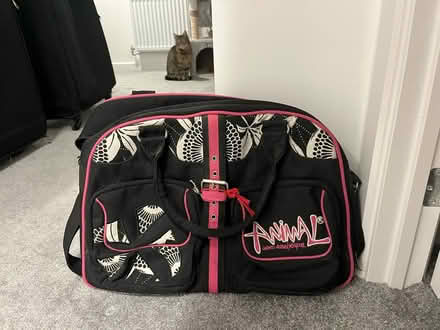 Photo of free Large Animal suitcase & animal bag (Moreton) #3