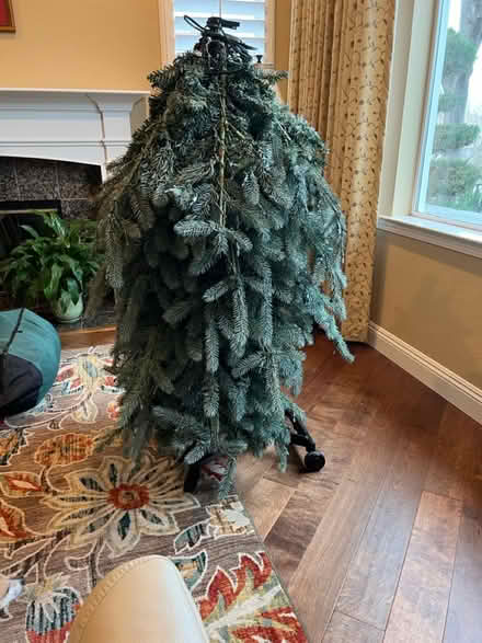 Photo of free Frontgate Christmas tree (Concord) #4