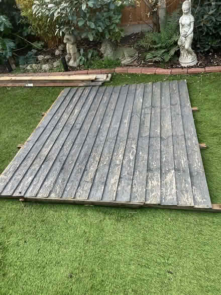 Photo of free 6’ fence panel (Newlands) #1