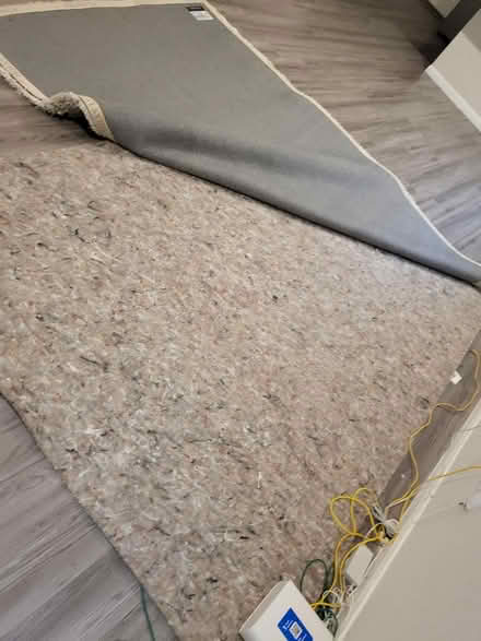 Photo of free 6x9 Savafvieh Rug & 1/2" carpet pad (Balmoral in Atascocita) #4