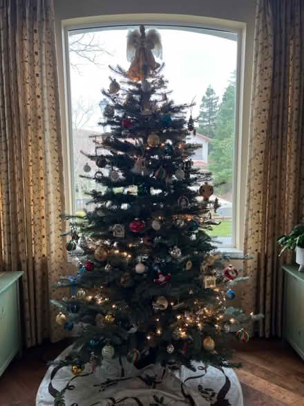 Photo of free Frontgate Christmas tree (Concord) #1