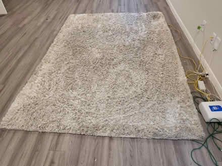 Photo of free 6x9 Savafvieh Rug & 1/2" carpet pad (Balmoral in Atascocita) #3