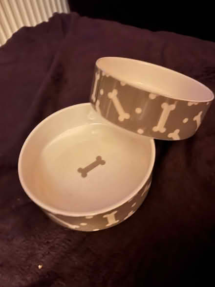 Photo of free Pet feeding / water bowls x 2 (West Bridgford NG2) #2