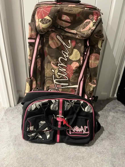 Photo of free Large Animal suitcase & animal bag (Moreton) #1