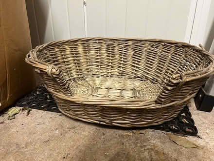 Photo of free Cat basket (BS9) #1