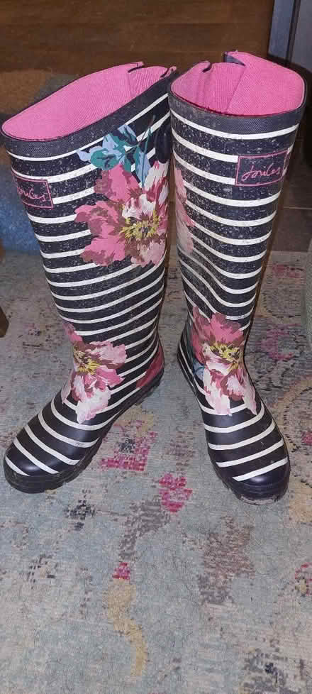 Photo of free Pair of Joules wellies (Erlestoke SN10) #1