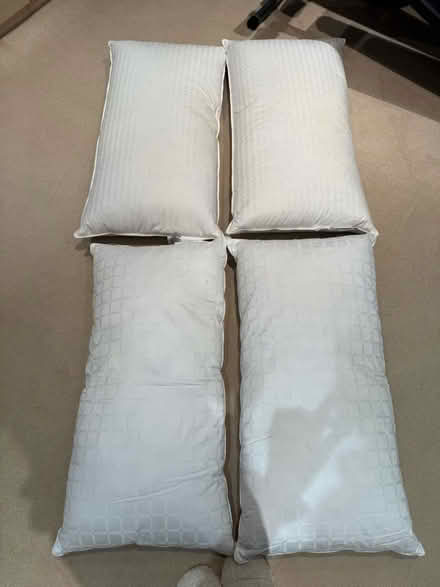 Photo of free Pillows (Beckenham BR3) #2