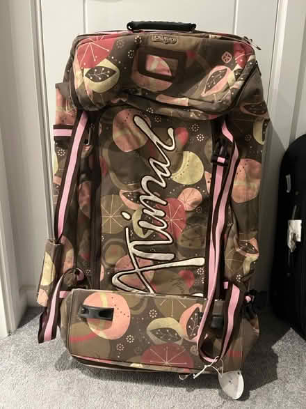 Photo of free Large Animal suitcase & animal bag (Moreton) #2