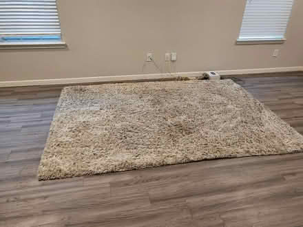 Photo of free 6x9 Savafvieh Rug & 1/2" carpet pad (Balmoral in Atascocita) #2