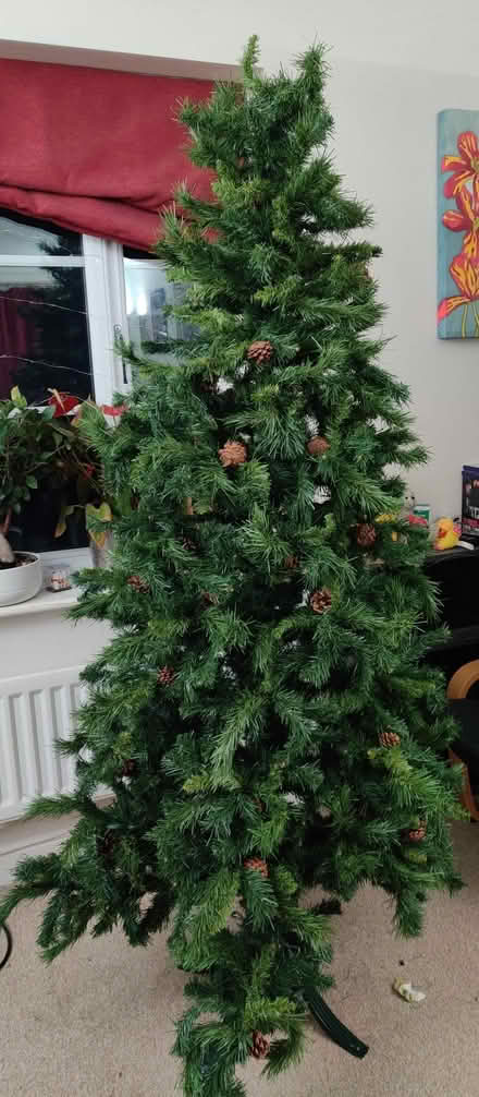 Photo of free 7ft Christmas Tree (TF10) #1