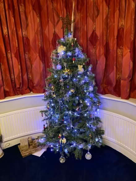 Photo of free Christmas Tree (Southborough lane) #1