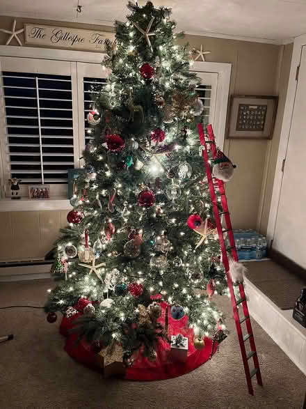 Photo of free 7.6 foot artificial Christmas tree (Middletown by HS North) #1