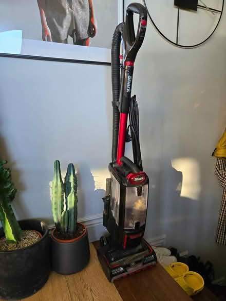 Photo of free Shark Upright Vacuum (NW2, Willesden Green) #1