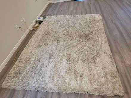 Photo of free 6x9 Savafvieh Rug & 1/2" carpet pad (Balmoral in Atascocita) #1