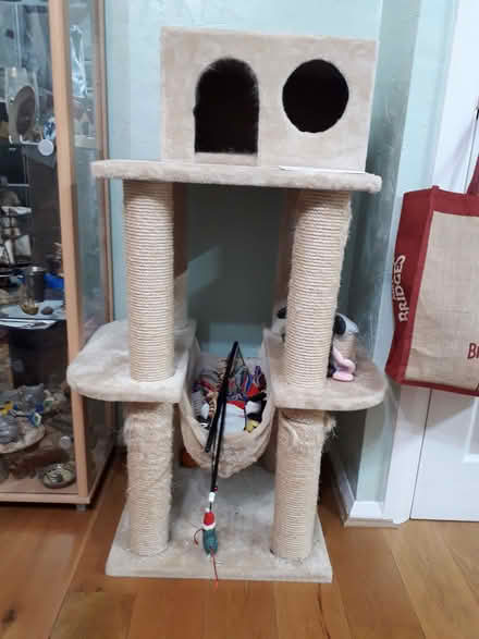 Photo of free Cat Tower (Princes Risborough HP27) #1