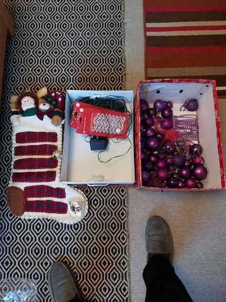 Photo of free Christmas decorations and lights (Middleton, DE4) #1