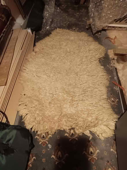 Photo of free Sheepskin Rug (AB39) #1