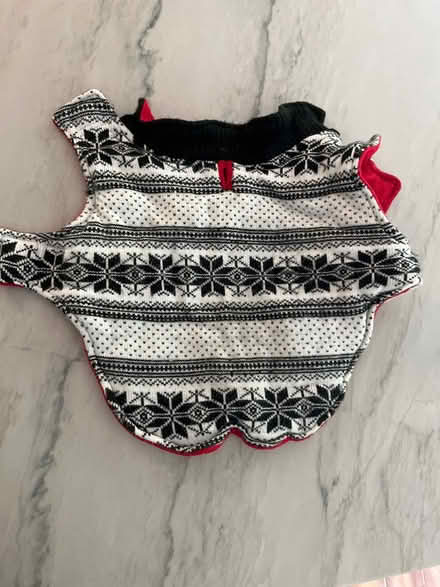 Photo of free Dog sweater (Fremont, Niles Area) #1