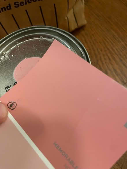 Photo of free Paint! Rose and raspberry-ish (Northgate) #2