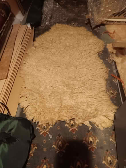 Photo of free Sheepskin Rug (Newtonhill AB39) #1