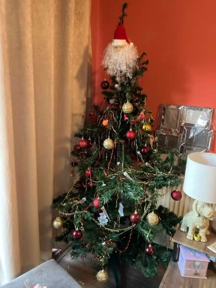 Photo of free 5’ Christmas Tree (Mansfield Woodhouse NG19) #2