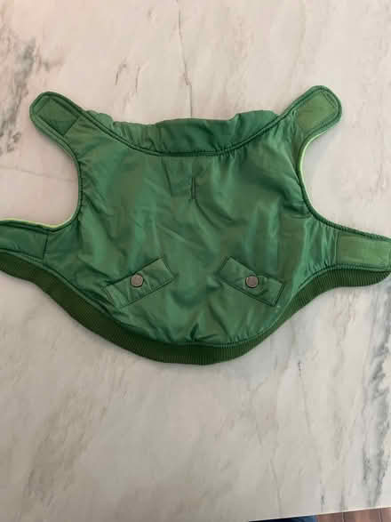 Photo of free Doggy jacket (Fremont, Niles Area) #1